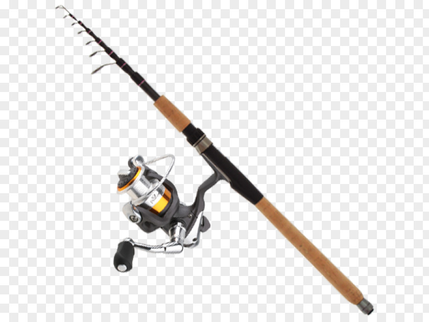 Gift Fishing Rods Birthday Spin Angling PNG