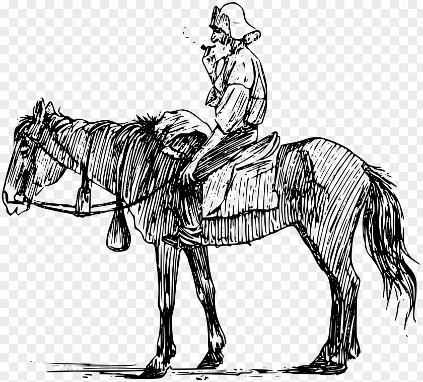 Horse Mule Equestrian Clip Art PNG