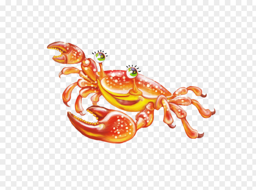 Orange Crab Crabe Decapoda Pliers PNG