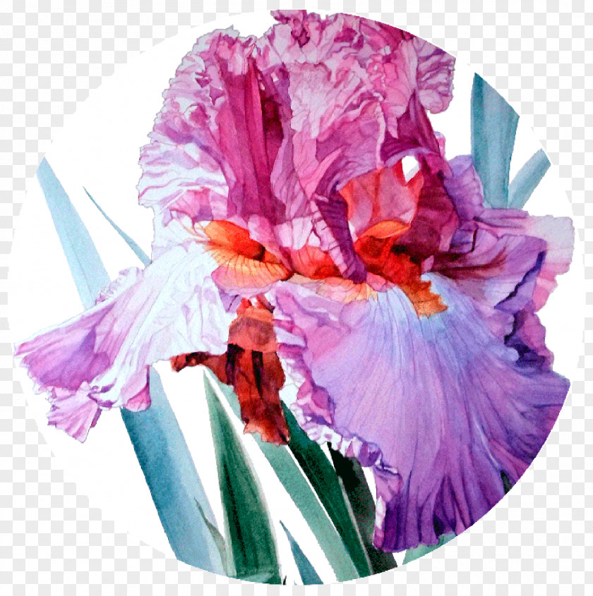 Painting Irises Watercolor Artist PNG