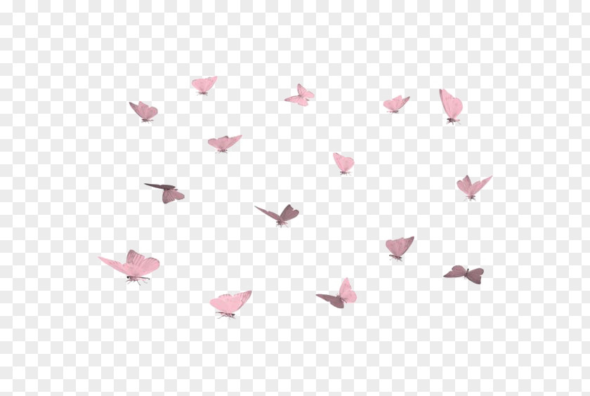 Pink Butterfly Print Clip Art PNG