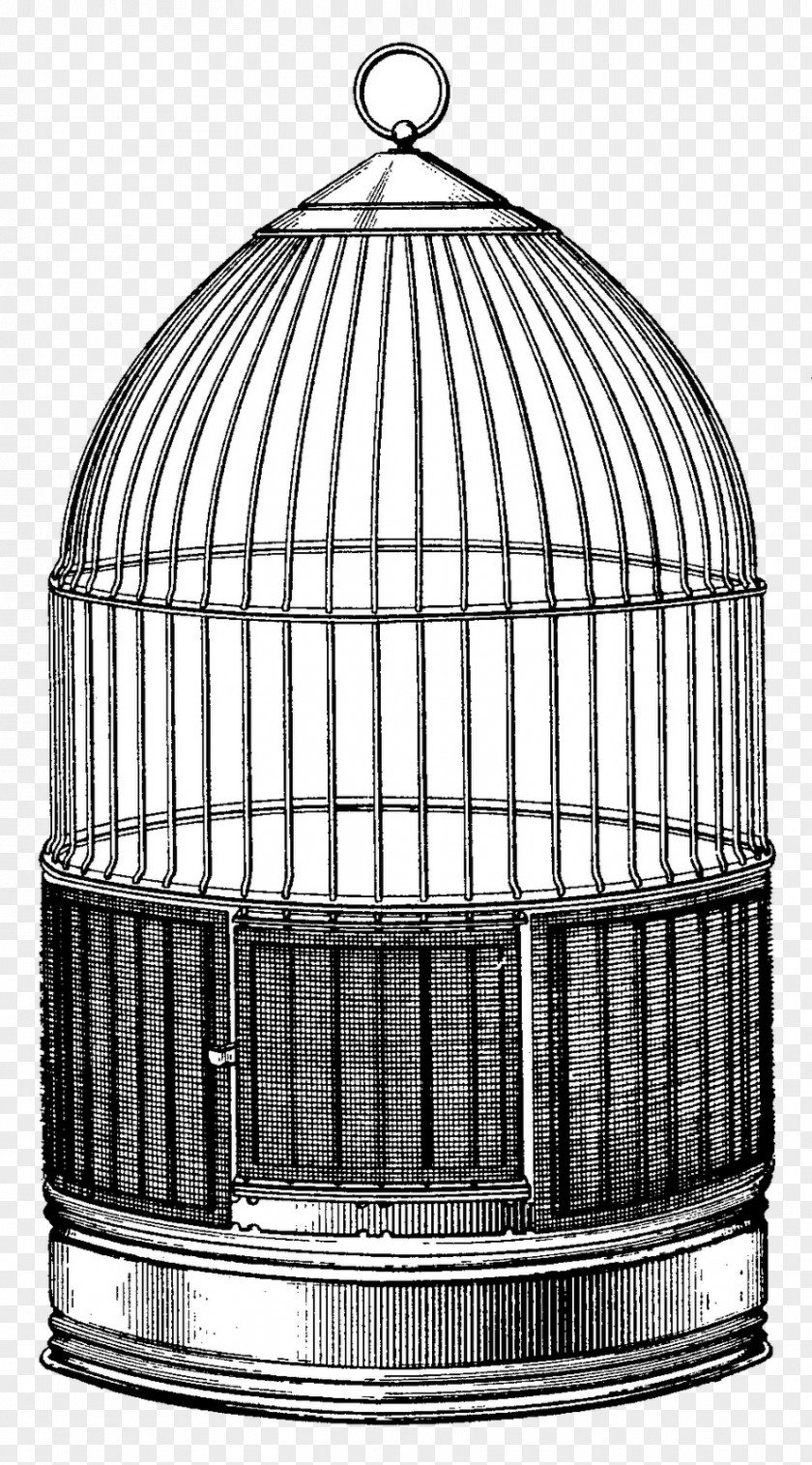 Bird Cage Birdcage Parrot Birds And People PNG