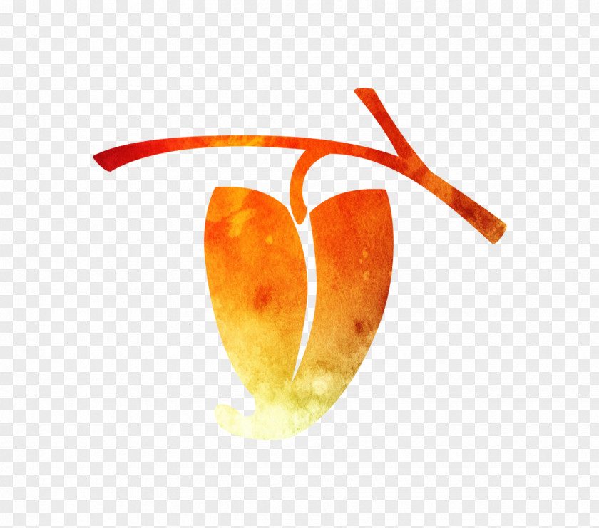 Desktop Wallpaper Font Computer Fruit Orange S.A. PNG