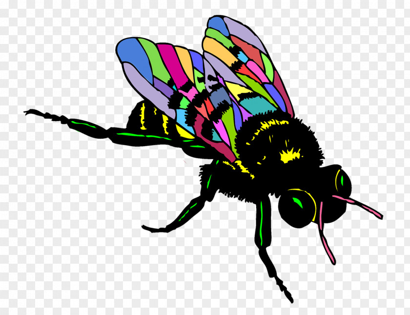 Insect European Dark Bee Black And White Drawing Clip Art PNG