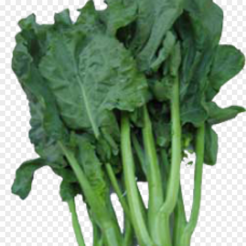 Lettuce Chinese Cuisine Broccoli Cantonese Choy Sum PNG
