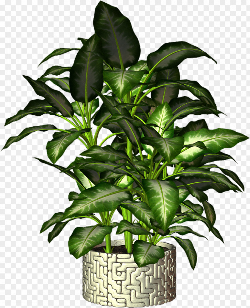 Plant Flowerpot PNG