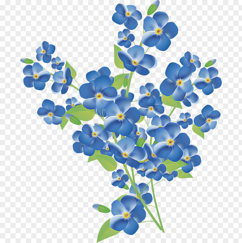 Wildflower Bluebonnet Blue Flower Plant Petal Borage Family PNG