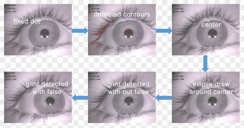 Eye Pupil Tracking Iris PNG