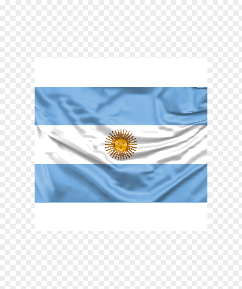 Flag Of Argentina Nicaragua Organization PNG