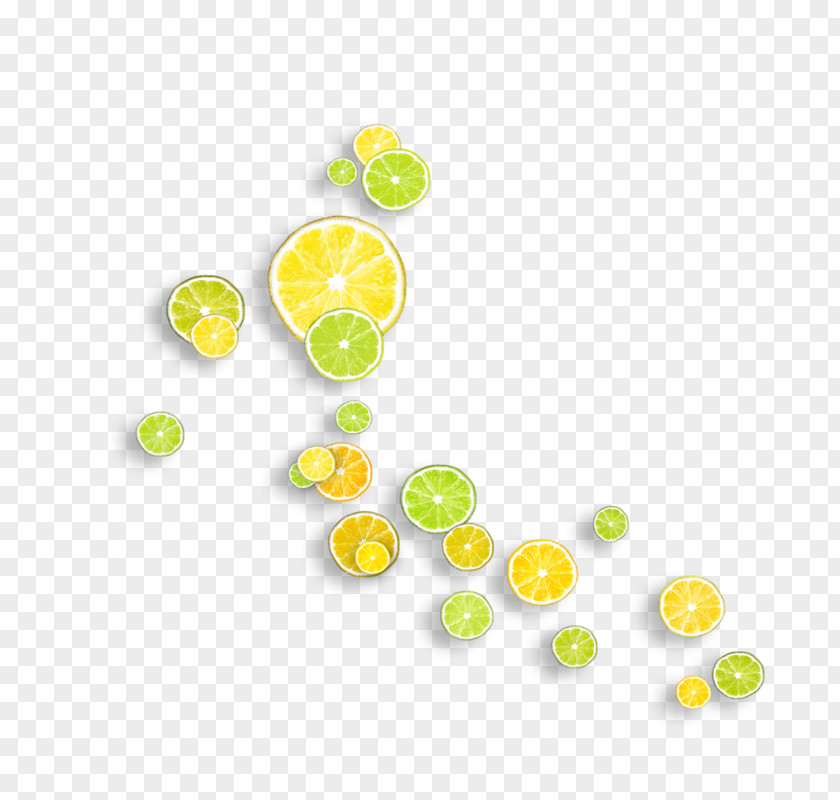 Floating Lemons Lemon Auglis Clip Art PNG