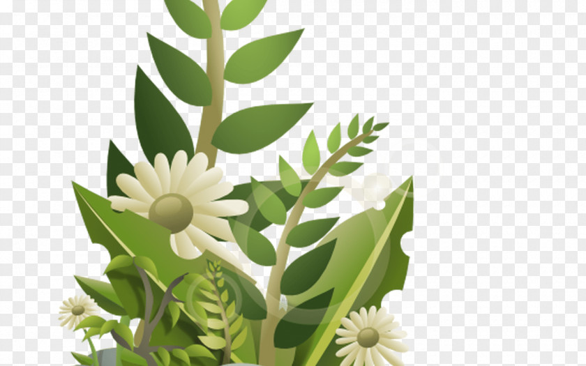 Flower Clip Art Plants Vector Graphics Floral Design PNG