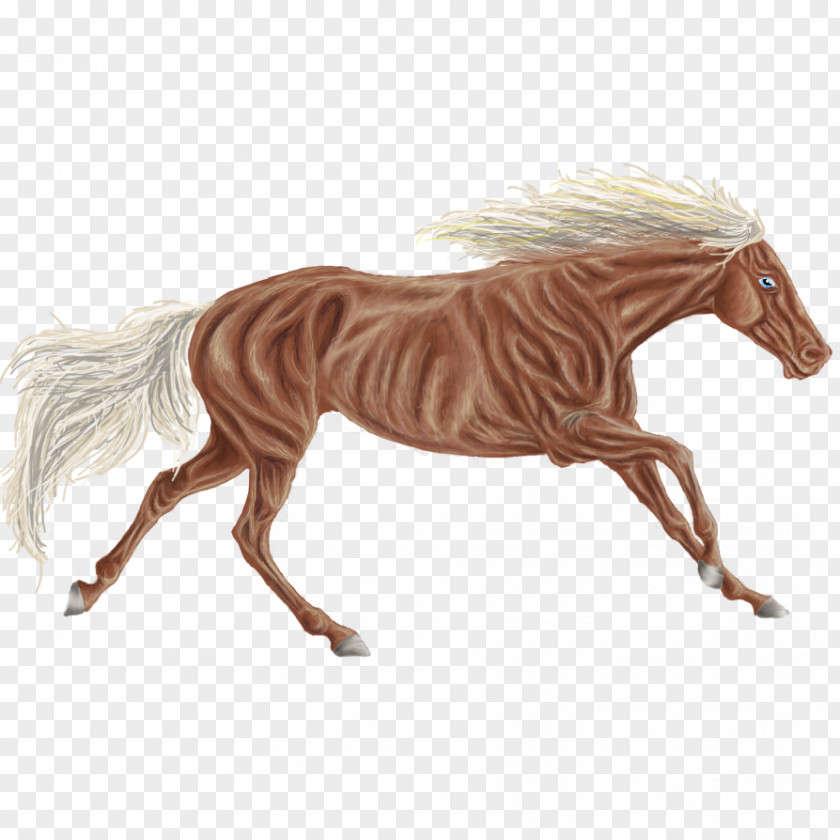 Mustang Mane Pony Rein Mare PNG