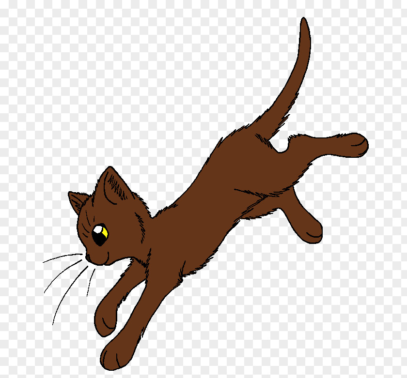 Sparrow Warriors Cat Return To The Clans Clip Art PNG
