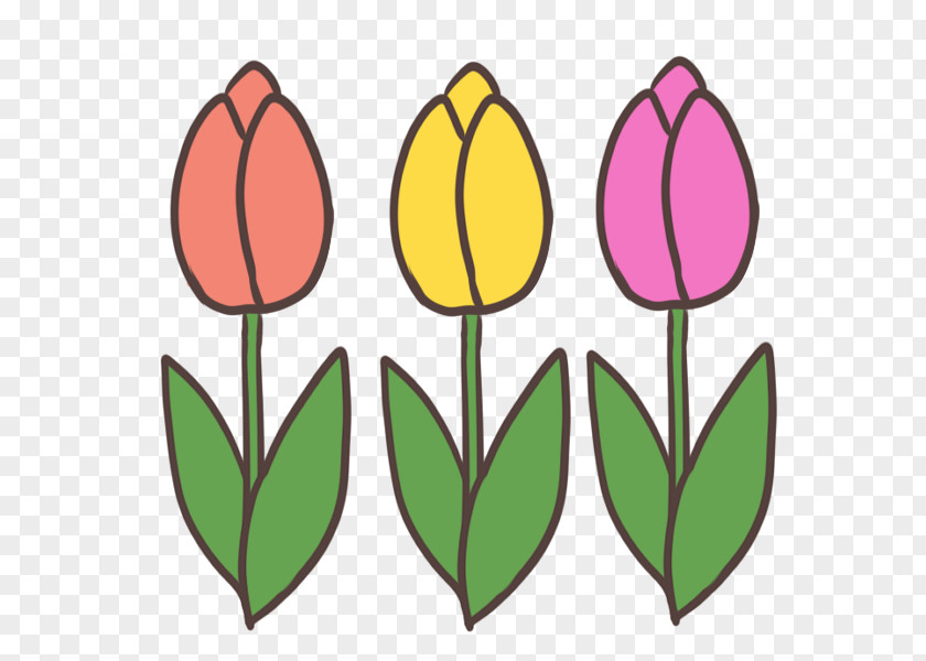Tulip Plant Stem Petal Clip Art PNG