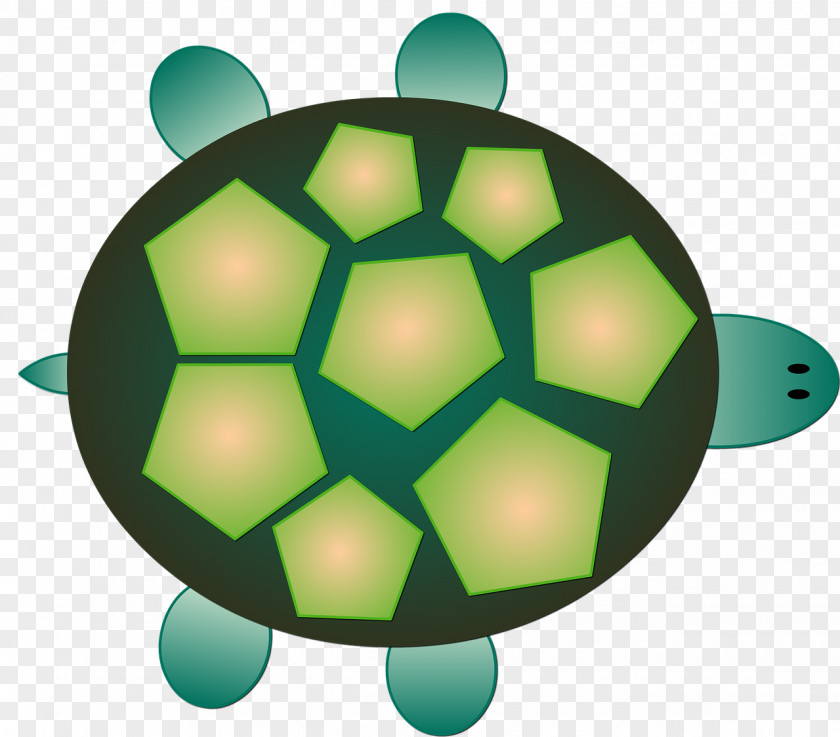 Turtle Tortoise Sea Reptile Clip Art PNG