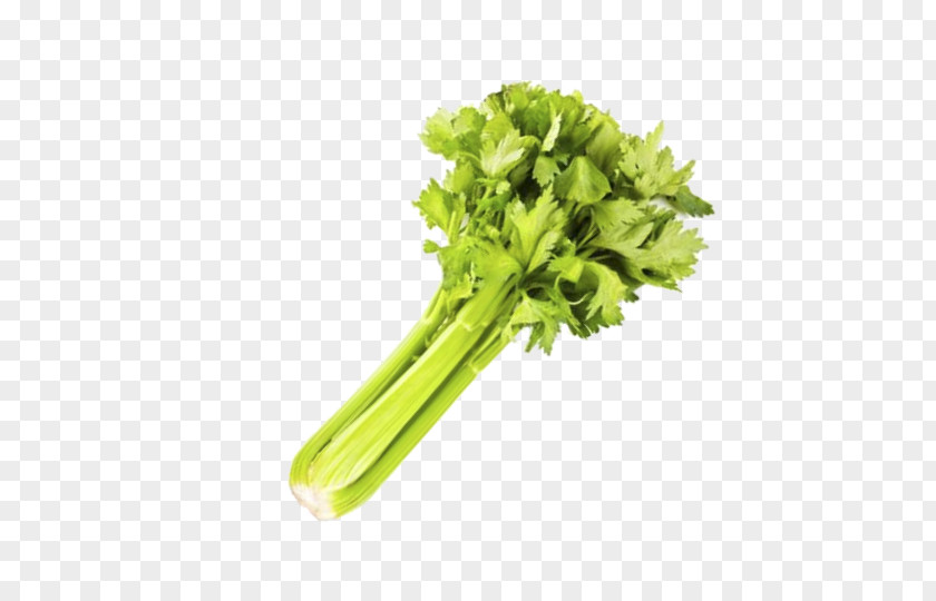 Vegetable Celery Spring Greens Rapini Lettuce PNG