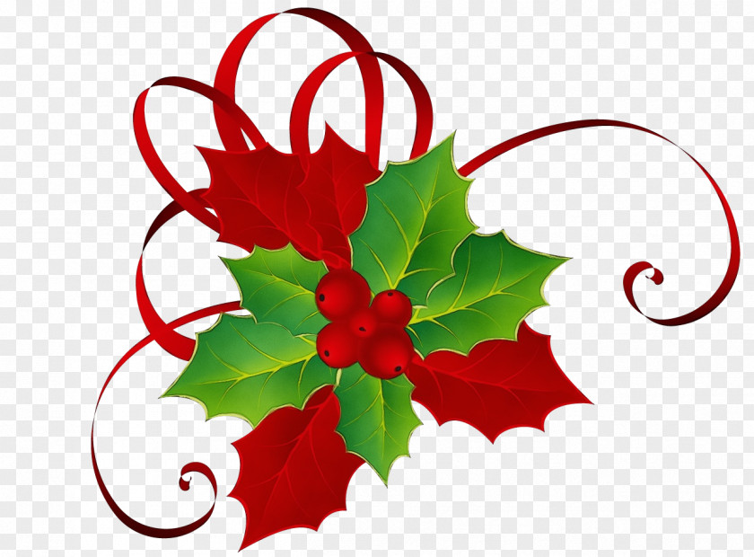 Christmas Plant Poinsettia PNG