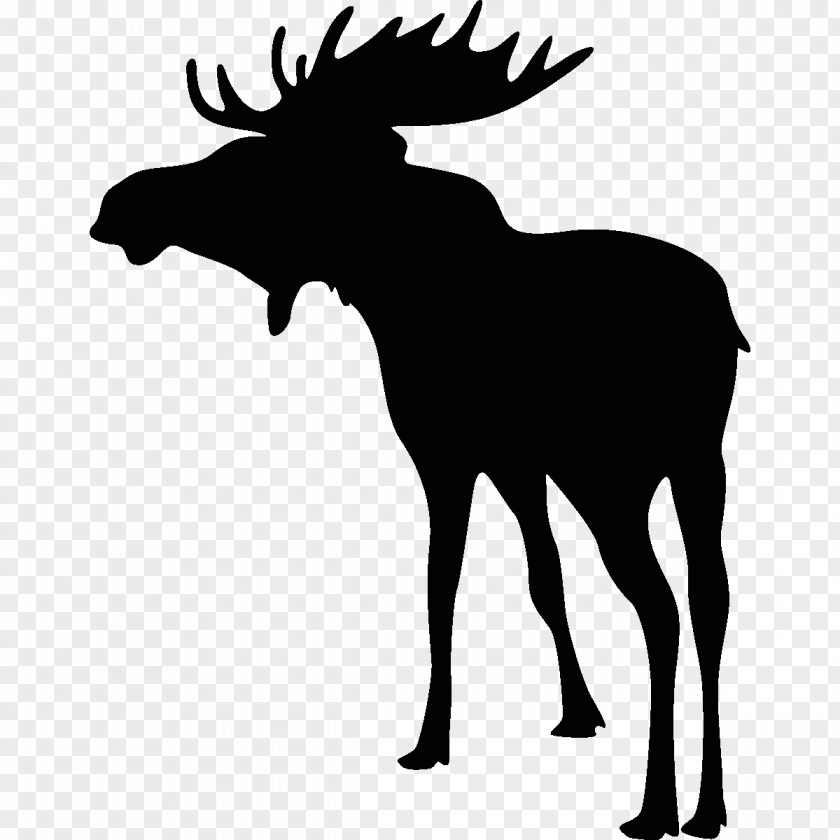 Deer Hunting Moose Bowhunting PNG