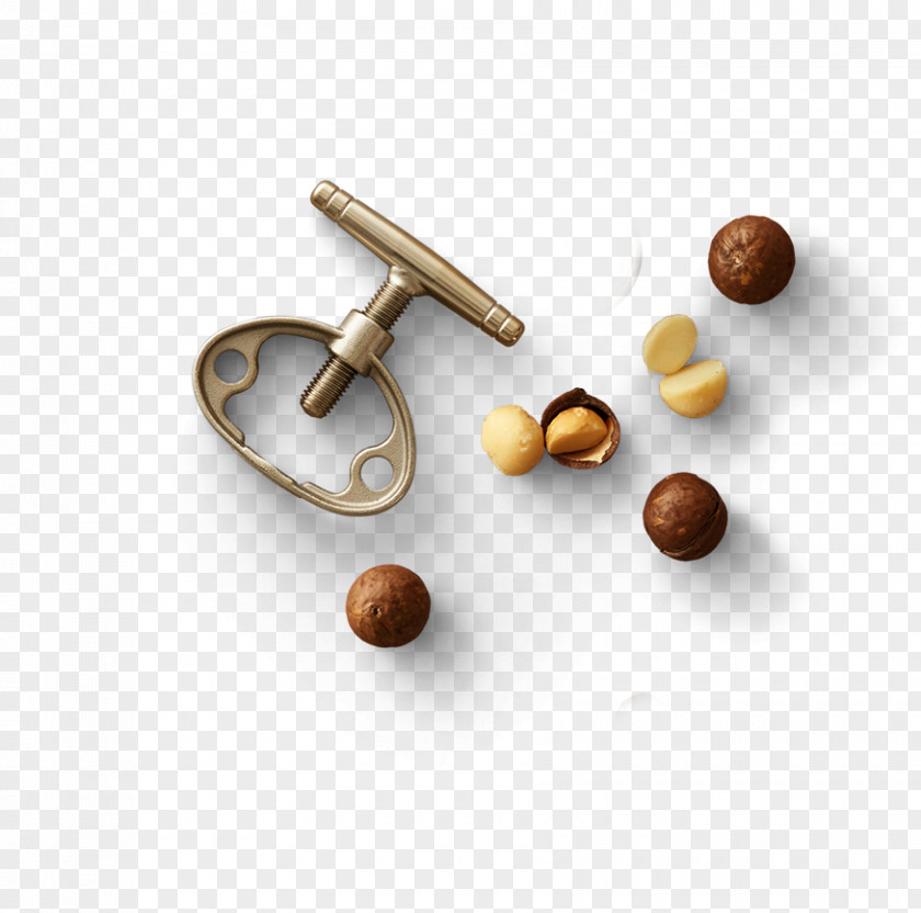 Macadamia Nuts Nut Clip Art PNG