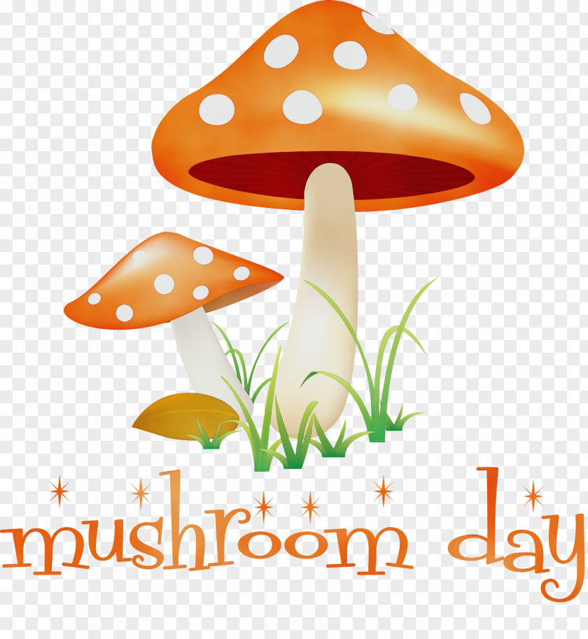 Mushroom Flower PNG