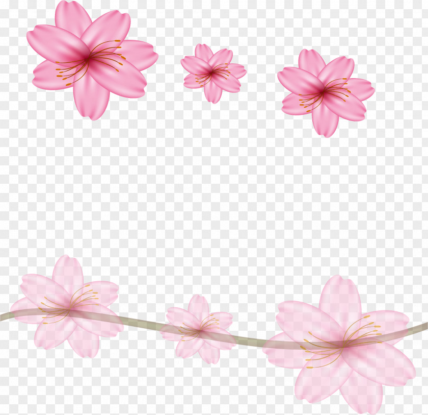 Pink Dream Sakura Border Floral Design Cherry Blossom Flower PNG