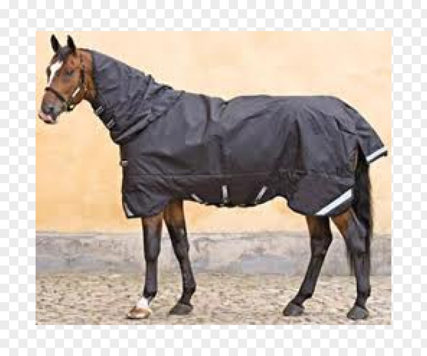 Rambo Horse Mare Stallion Weight Pack Animal PNG