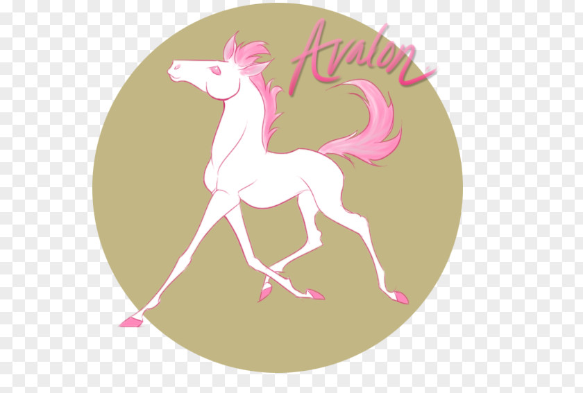 Avalon Pattern Unicorn Pink M Cartoon RTV PNG