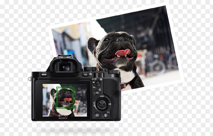 Camera Lens Sony Alpha 7R α7 Full-frame Digital SLR PNG