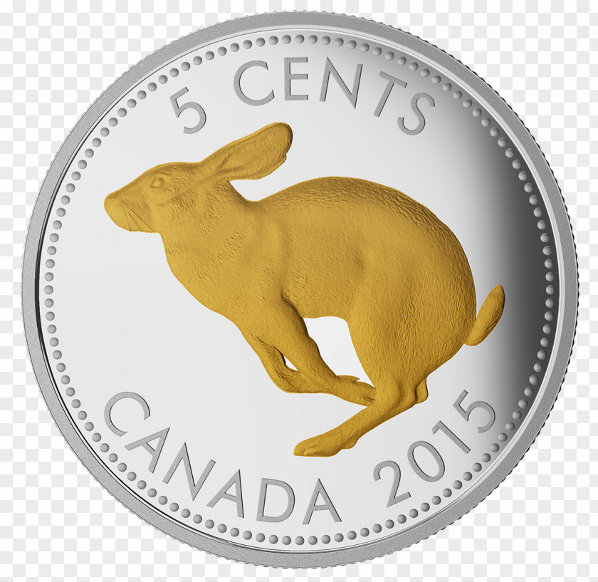 Canada Coin Nickel Silver Canadian Gold Maple Leaf PNG