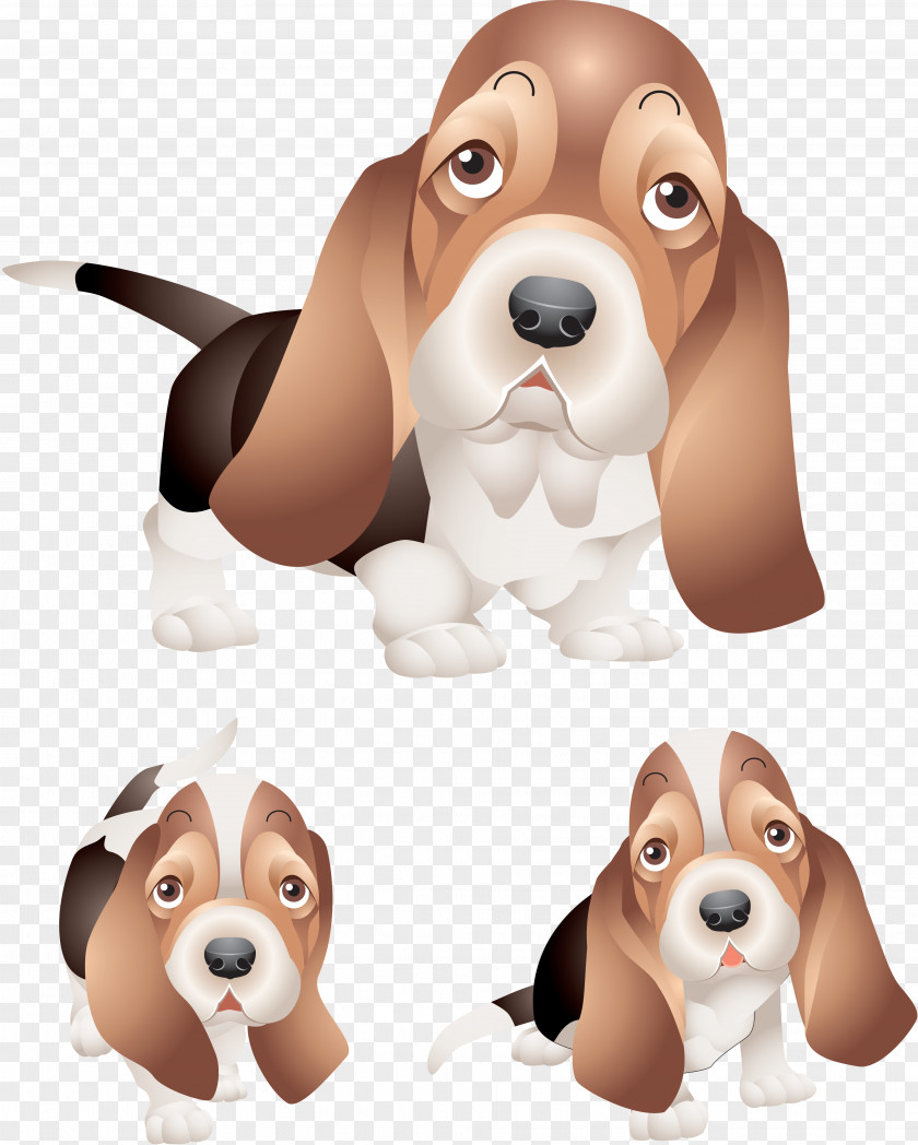 Dogs Beagle Puppy Heat Stroke Veterinarian Exhaustion PNG