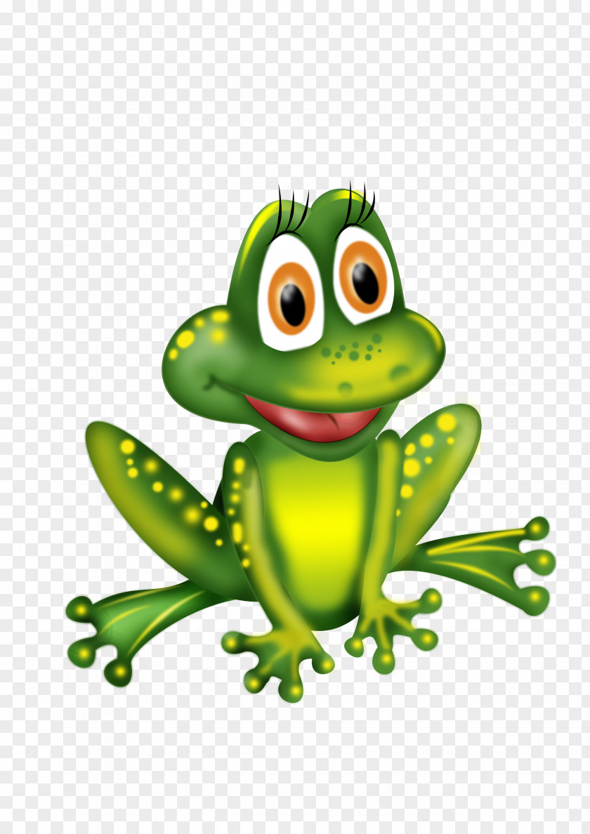 Frog Common Child Coloring Book PNG