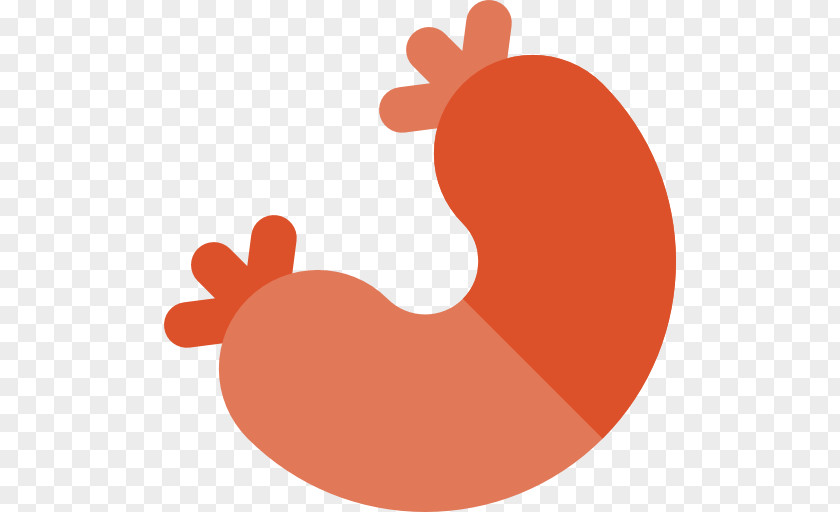 Line Finger Chicken As Food Clip Art PNG