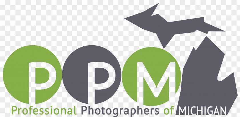 Photographer Wildlife Of The Year Photography Award PNG