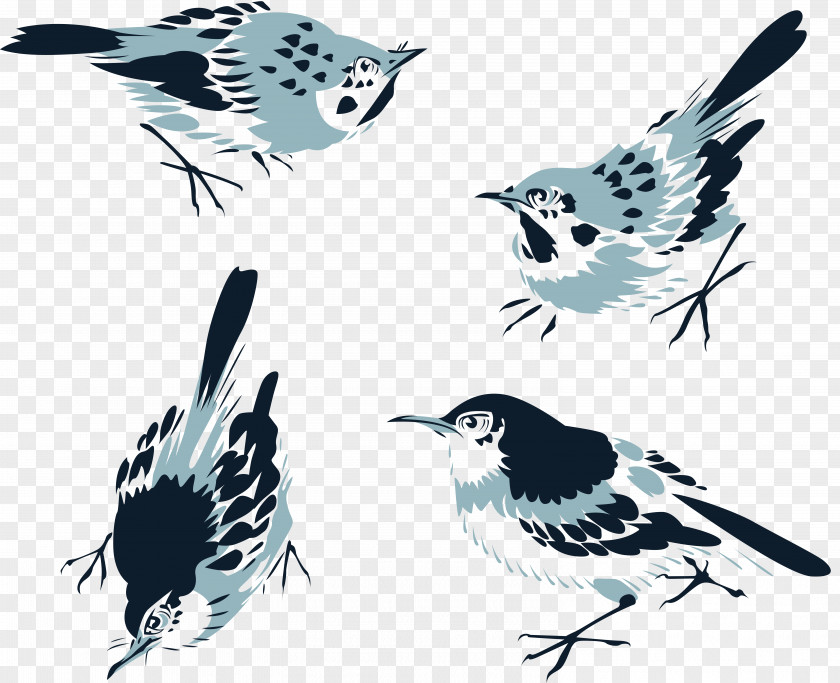Sparrow Chinese Painting Art Clip PNG