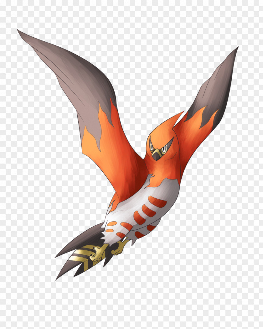 Talon Pokémon X And Y Évolution Des Talonflame Blaziken PNG
