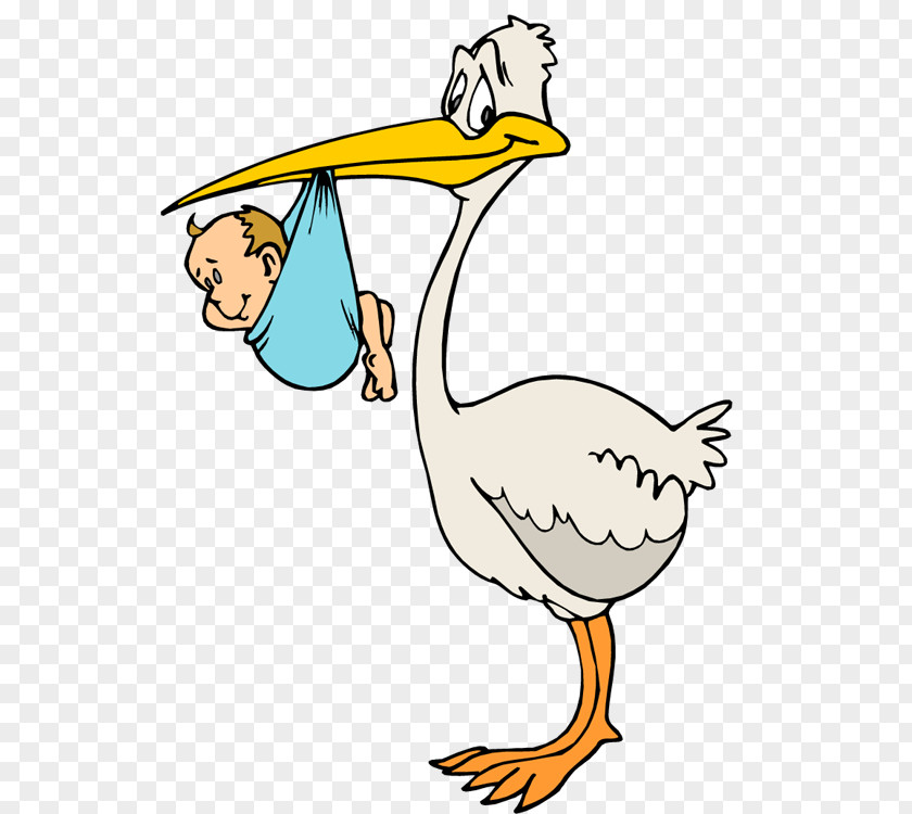 Born Clipart White Stork Clip Art PNG