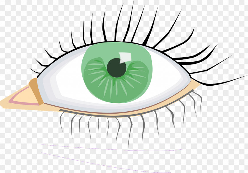 Eye Clip Art Injury Image Iris PNG