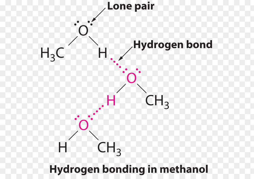 Trimethylamine Intermolecular Force Hydrogen Bond Chemical Molecule Chemistry PNG