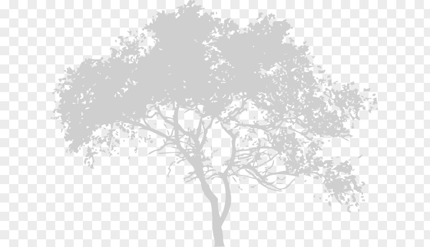White Tree Silhouette Vector Graphics Royalty-free Stock Illustration Image Twig PNG