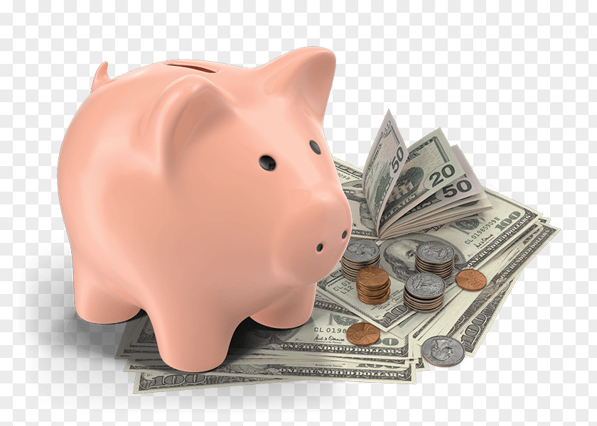 Coin Banknote Pig Cartoon PNG