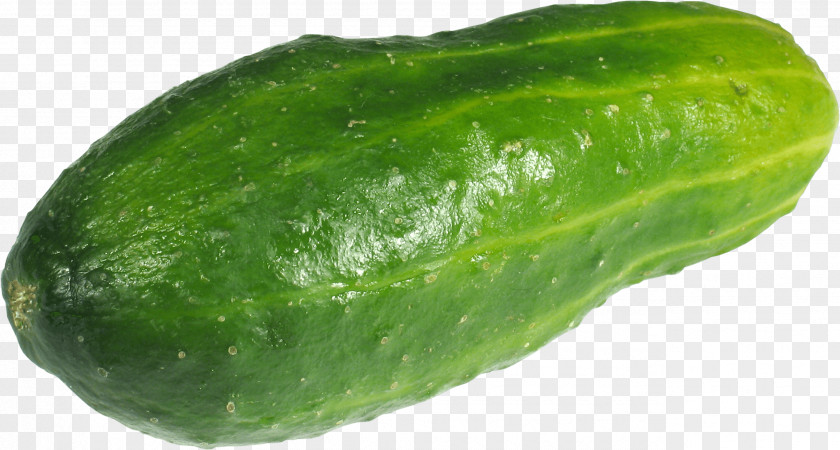 Cucumber Image Picture Download Pickled Vegetable Food PNG