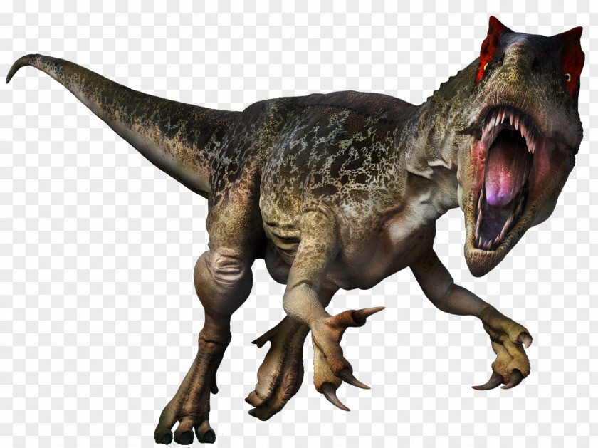 Dinosaur World Tyrannosaurus Allosaurus Velociraptor Animal PNG
