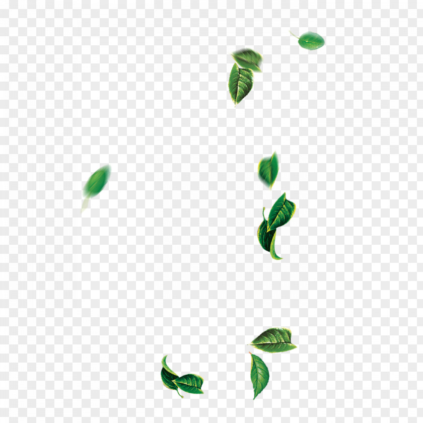 Falling Leaves Leaf Green Tree PNG