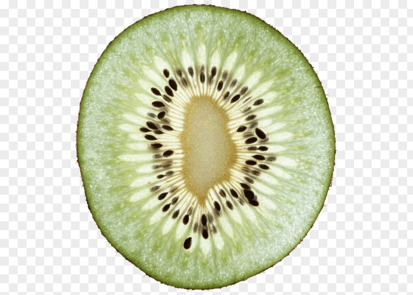 Kiwifruit Food PNG