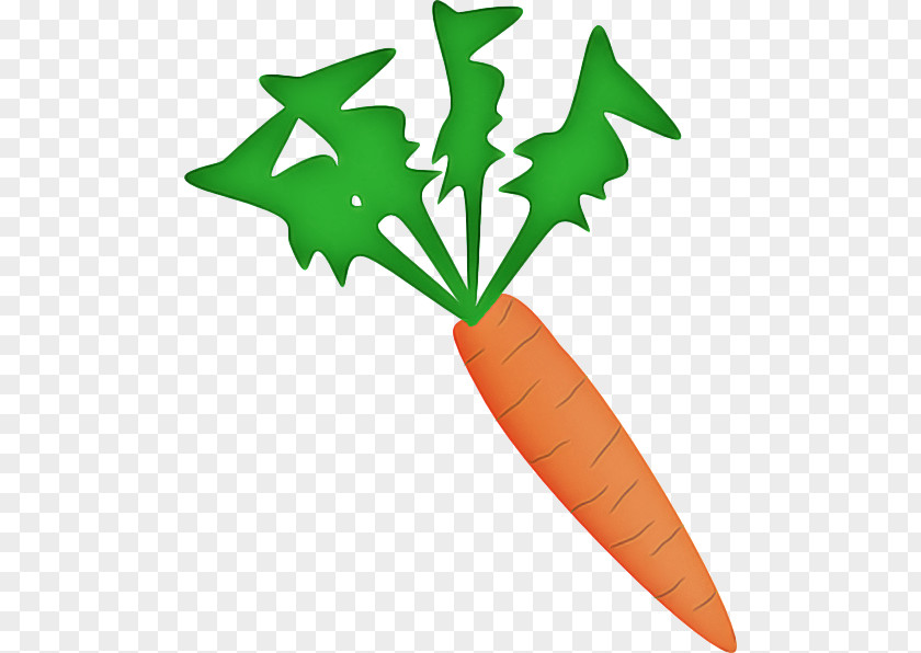 Vegetable Plant Leaf Clip Art Carrot PNG