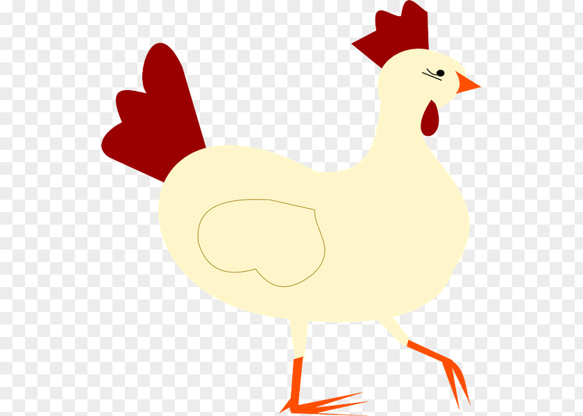 Livestock Beak Chicken Bird Rooster Clip Art PNG