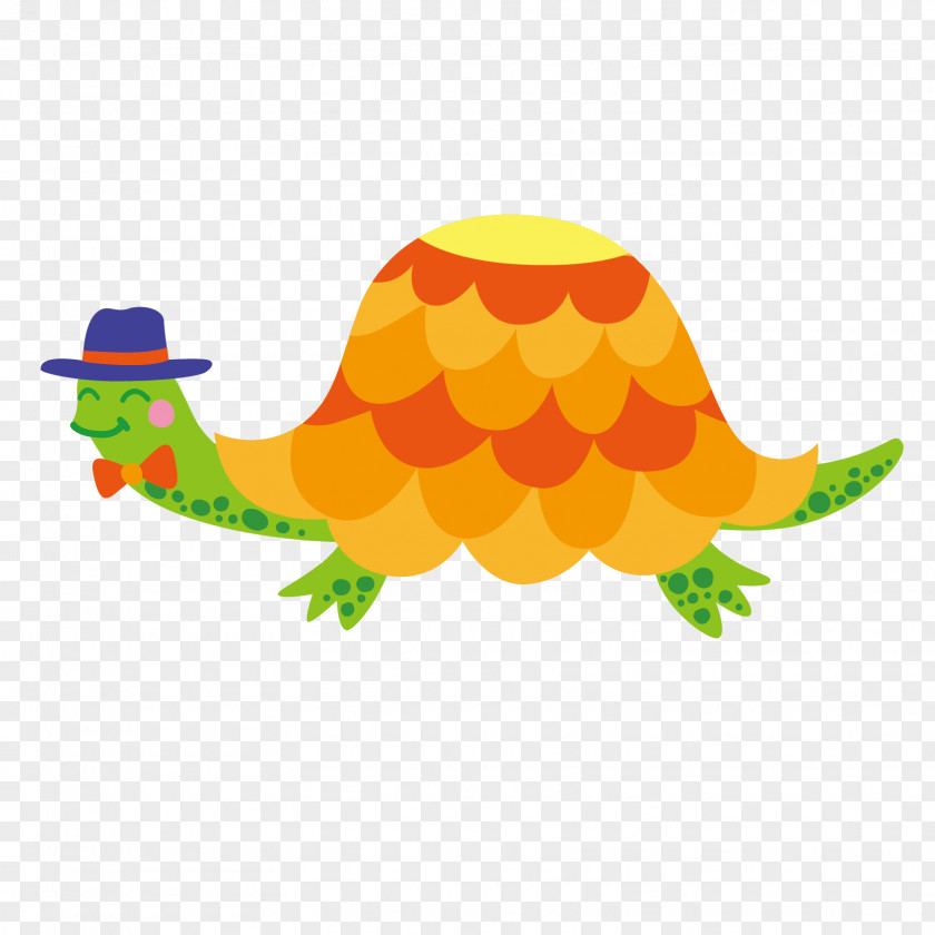 Painted Turtle Cartoon Clip Art PNG