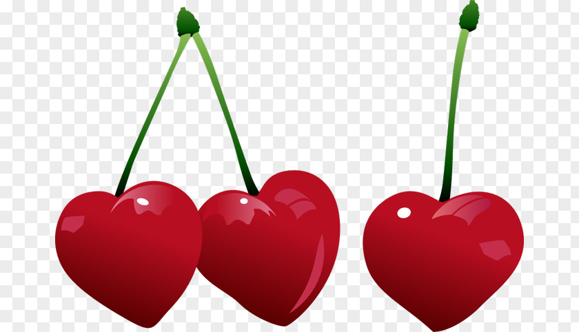 Pictures Of Cherries Heart Cherry Stock Illustration Clip Art PNG