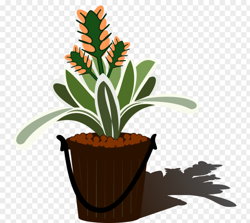 Planting Flowers Aechmea Vector Graphics Clip Art Tillandsia Flowering Plant PNG