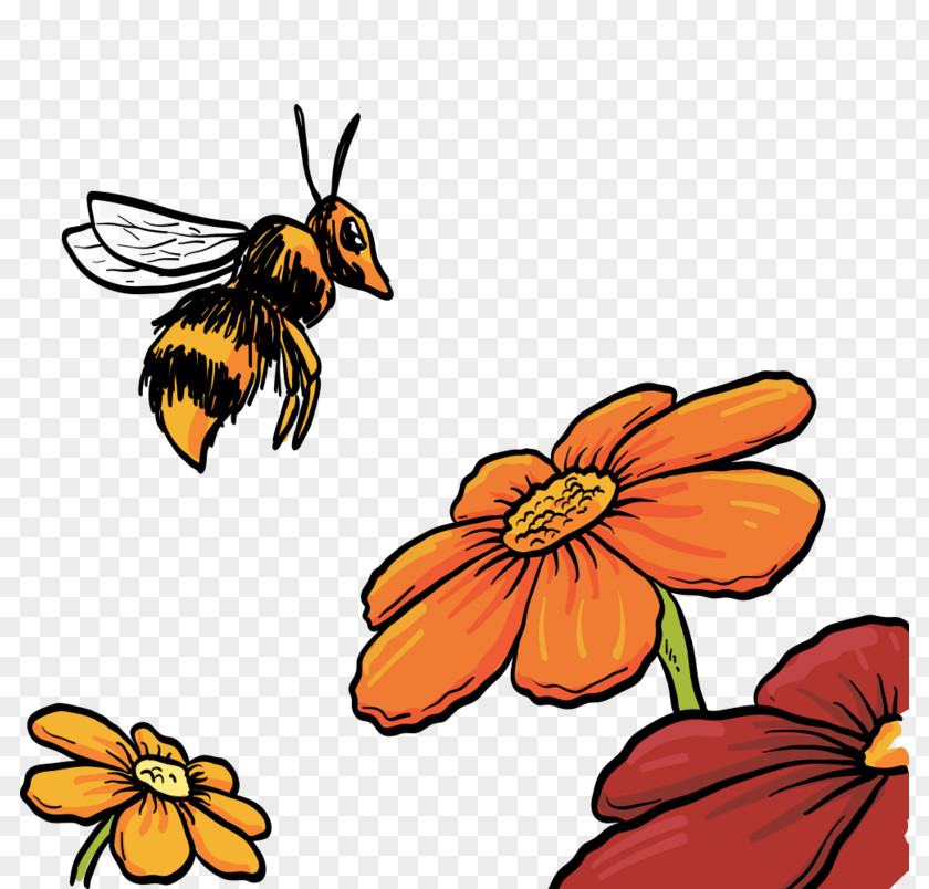 Beautiful Bee Honey Vector Graphics Image PNG